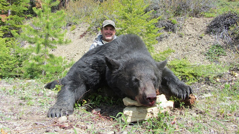 Black Bear Hunting - BC, Canada Hunting Trips - Fraser River Outfitters Black Bear Hunting - BC, Canada Hunting Trips - Fraser River Outfitters